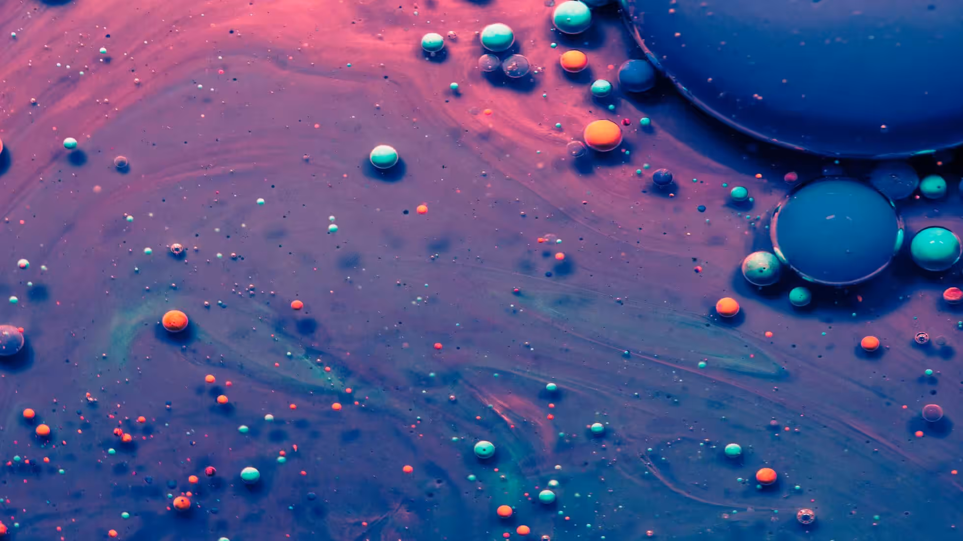 iDiMi-不要盲目崇拜北上资金