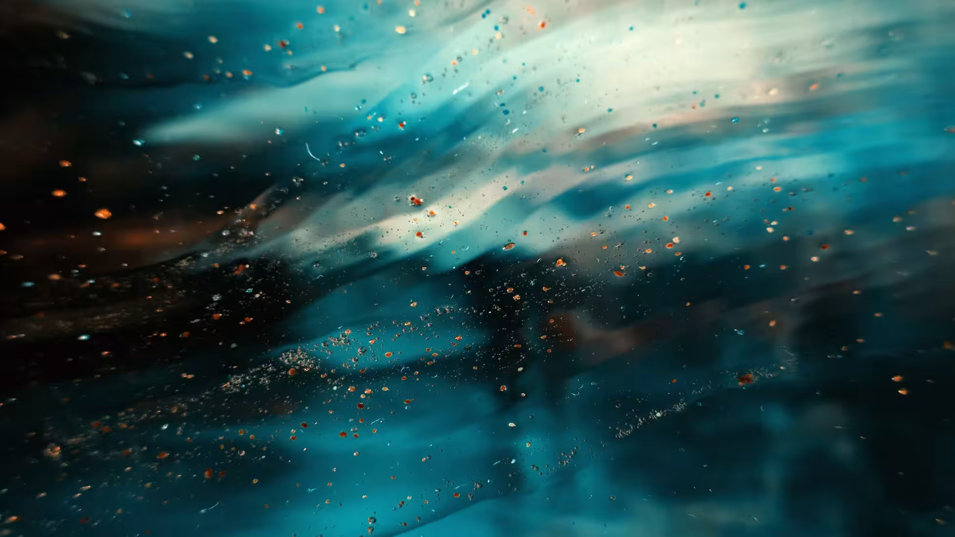 iDiMi-良渚遗址——实证中华五千年文明史的圣地