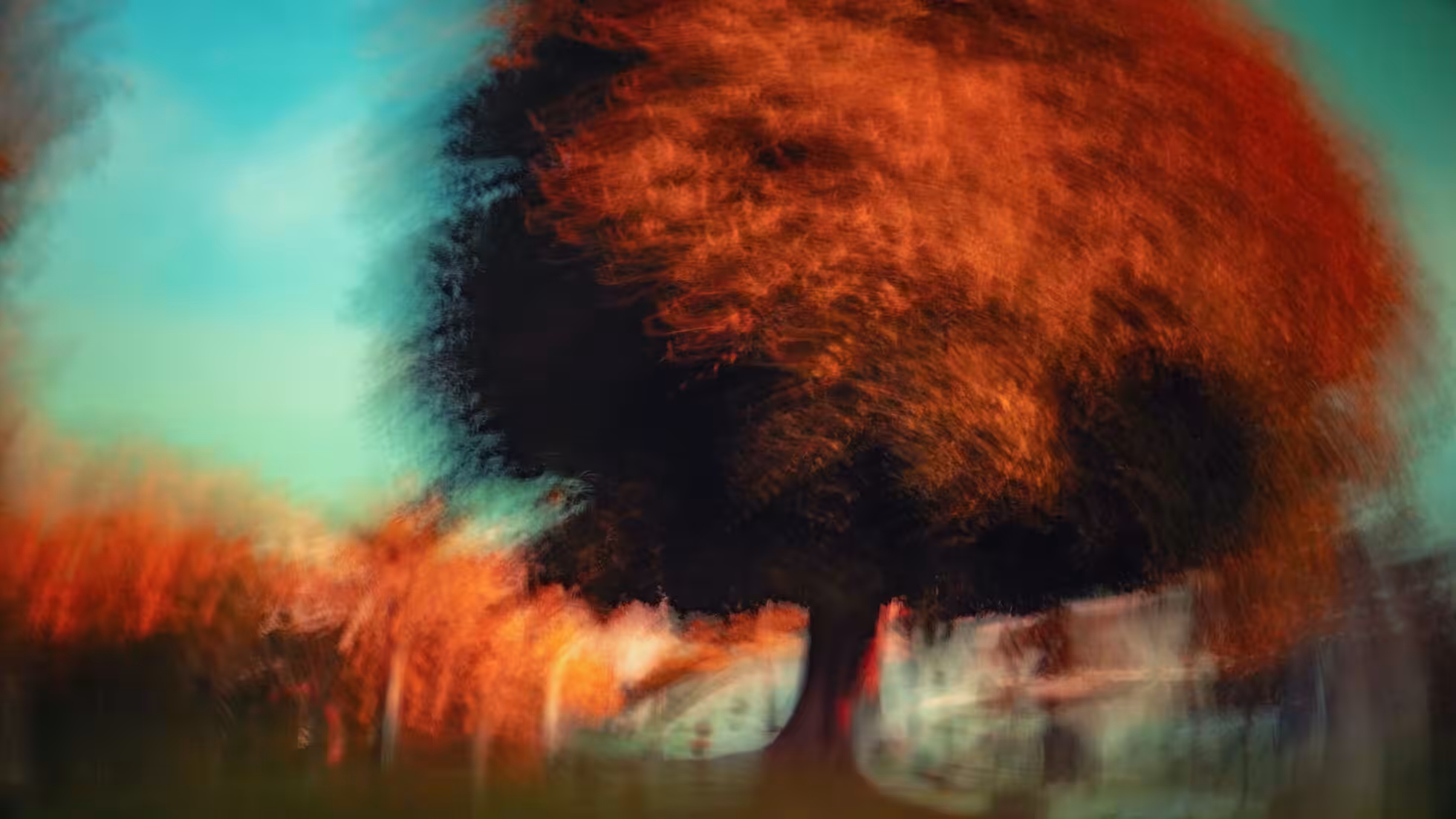 iDiMi-零售业简史