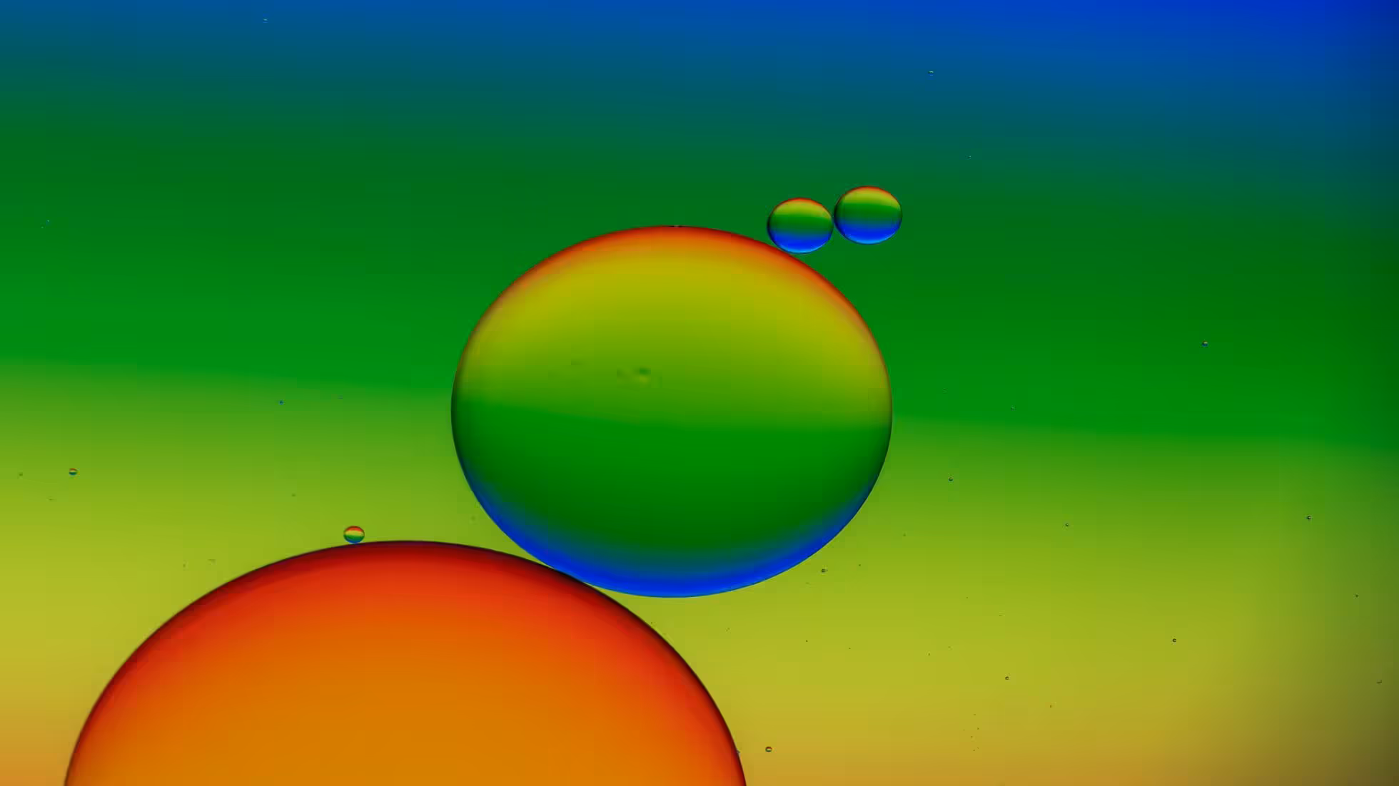 iDiMi-创业公司股权设置那些坑