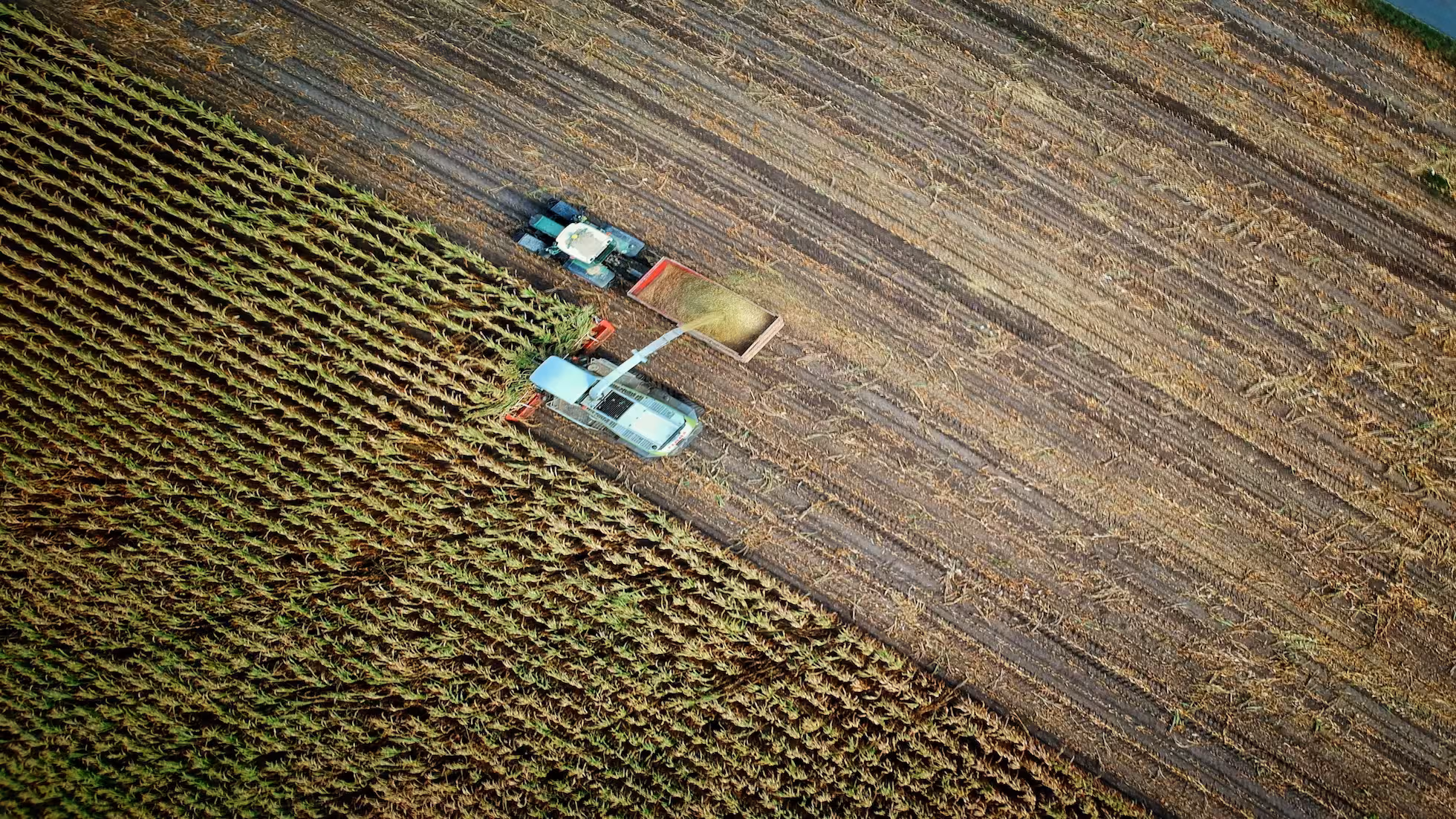 iDiMi-学习运用“千村示范、万村整治”工程经验有力有效推进乡村全面振兴