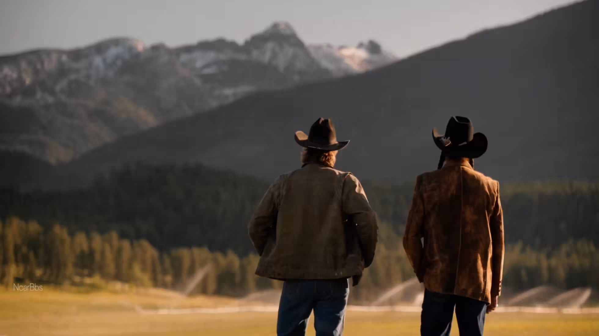 iDiMi-その選択はとても明確になるだろう